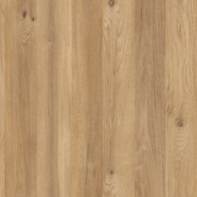 Korona Meşe Suntalam